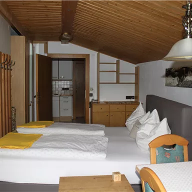 A cozy room with two beds and a wooden ceiling. There is a table, a television, and a kitchenette in the background.