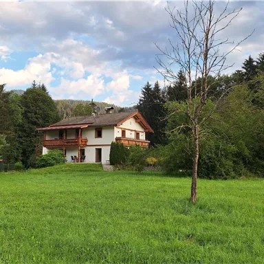 A beautiful house surrounded by green meadows and trees. The sky is partly cloudy, giving the scene a calm atmosphere.