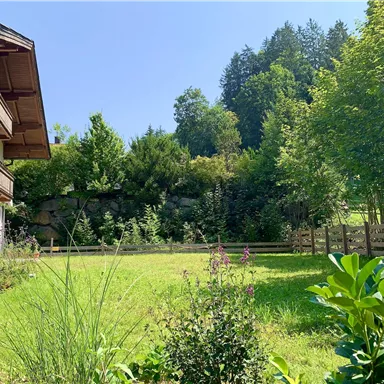 Ein schöner Garten mit üppigem Grün und bunten Pflanzen. Im Hintergrund sind Bäume und ein hellblauer Himmel zu sehen.
