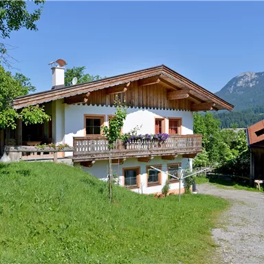 A lovely house in alpine style, surrounded by green grass and trees. Mountains are visible in the background and the sky is blue.