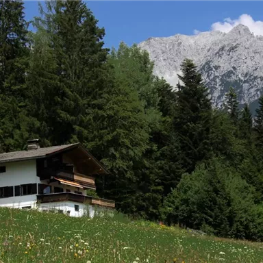 A cozy house in nature, surrounded by tall trees and a blooming meadow. In the background, a majestic mountain rises under a clear sky.