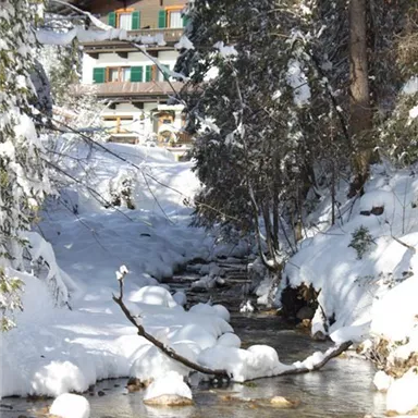 A picturesque winter landscape with a snowy stream and a wooden house in the background. The scene is surrounded by tall trees covered in snow.