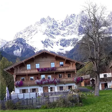 Ein traditionelles Chalet mit bunten Blumenbalkonen vor einer beeindruckenden Bergkulisse. Die schneebedeckten Berge runden die malerische alpine Landschaft ab.