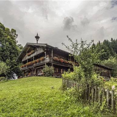 A traditional wooden house amidst a green meadow. In the background, trees and gentle hills can be seen.