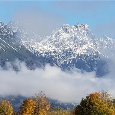 Eine beeindruckende Berglandschaft mit schneebedeckten Gipfeln und dichten Wolken. Vorne sind herbstliche Bäume in warmen Farben zu sehen.