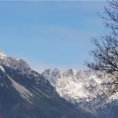 Ein beeindruckendes Bergpanorama mit schneebedeckten Gipfeln und klarem Himmel. Im Vordergrund ist ein Baum ohne Blätter sichtbar.