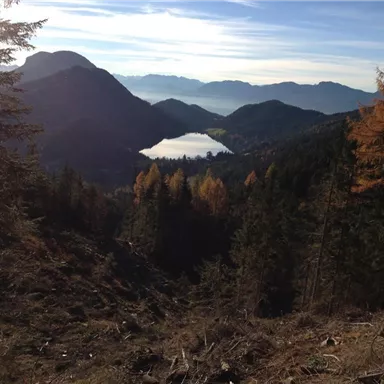 A picturesque landscape with mountains and a tranquil lake in the background. The trees display autumn colors under a clear sky.