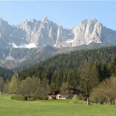 An impressive mountain landscape with rugged peaks and green forests. In the foreground, there is a meadow with a small house.