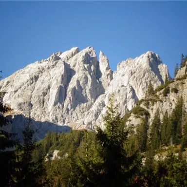 Eine majestätische Berglandschaft mit beeindruckenden Felsformationen und grünen Nadelbäumen im Vordergrund. Der klare blaue Himmel ergänzt die majestätische Szenerie.