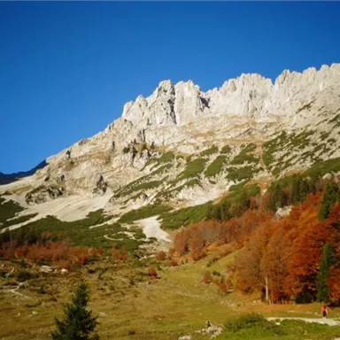 Eine beeindruckende Berglandschaft mit steilen Felsen und herbstlichen Bäumen. Der klare blaue Himmel sorgt für eine schöne Atmosphäre.
