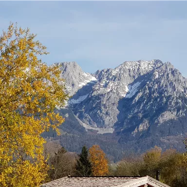 Ein majestätischer Berg mit schneebedecktem Gipfel und buntem Laub im Vordergrund. Der Himmel ist klar und es ist ein schöner Herbsttag.