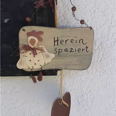 A decorative wooden sign with the inscription "Come on in." The sign features a hen and is adorned with a red check pattern.
