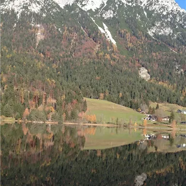 Eine malerische Berglandschaft mit schneebedeckten Gipfeln und buntem Herbstwald. Der ruhige See spiegelt die Umgebung wider.