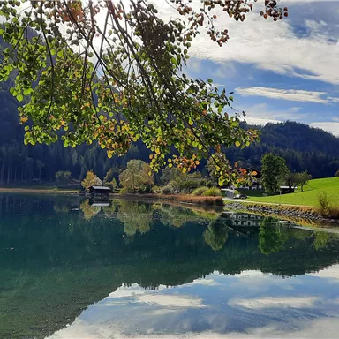 Ein ruhiger See umgeben von grünen Wiesen und Bäumen. Der Himmel ist klar und spiegelt sich im Wasser.