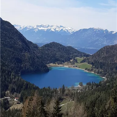 Ein malerischer See umgeben von Bergen und Wäldern. Der Himmel ist klar und die Landschaft strahlt Ruhe aus.
