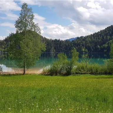Ein ruhiger See umgeben von grünen Wiesen und Bäumen. Die Landschaft ist geprägt von sanften Hügeln und einem klaren Himmel.