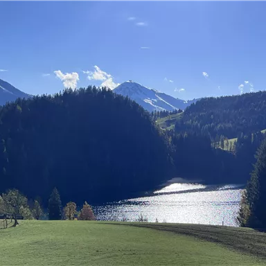 Eine malerische Landschaft mit einem klaren See und bewaldeten Hügeln. Im Hintergrund sind majestätische Berge unter einem blauen Himmel zu sehen.