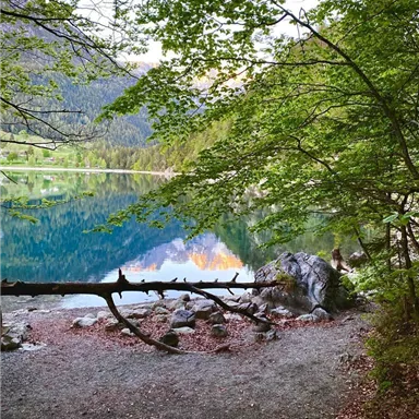 Ein ruhiger See umgeben von grünen Bäumen und Felsen. Das Wasser spiegelt die Landschaft und den Himmel wider.