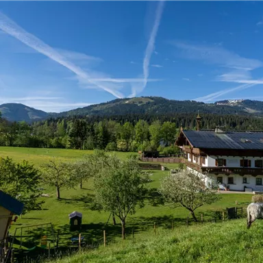 Eine malerische Landschaft mit einem Bauernhaus, umgeben von grünen Wiesen und sanften Hügeln. Der Himmel ist klar mit einigen Wolkenstreifen.