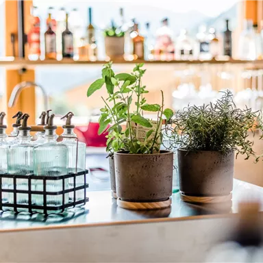 A beautiful bar with fresh herbs in pots and decorative glass bottles in the background. The ambiance is bright and inviting.