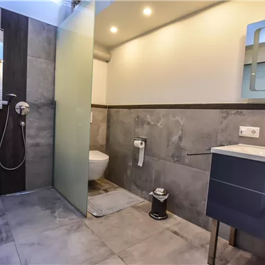 A modern bathroom with shower, sink, and toilet. The walls are in neutral shades of gray, creating a contemporary atmosphere.