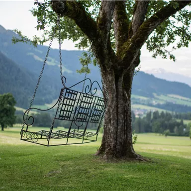 Eine wunderschöne Schaukel hängt an einem Baum in einer grünen Landschaft. Im Hintergrund sind sanfte Hügel und Berge sichtbar.