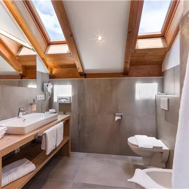 A modern bathroom with wood details and skylights. There is a large vanity surface and sanitary facilities.