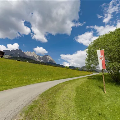 Eine malerische Landschaft mit grünen Wiesen und einem klaren blauen Himmel. Im Hintergrund sind majestätische Berge und ein Weg sichtbar.