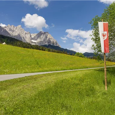 Eine grüne Wiese unterhalb von majestätischen Bergen. Ein Fahnenmast mit einer rot-weißen Fahne steht am Wegesrand.