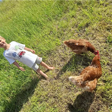 Ein kleiner Junge steht barfuß auf einer Wiese. Zwei Hühner fressen in seiner Nähe.
