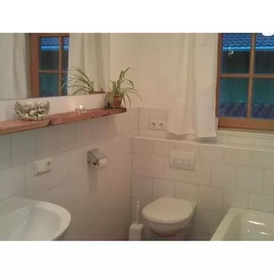 A bright bathroom with a sink, a toilet, and a window. The walls are tiled and there is a wooden shelf with a plant.