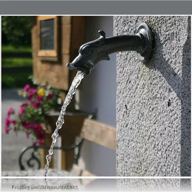 A decorative faucet in the shape of a triton, from which fresh water is bubbling. In the background, flowers and a rustic building can be seen.