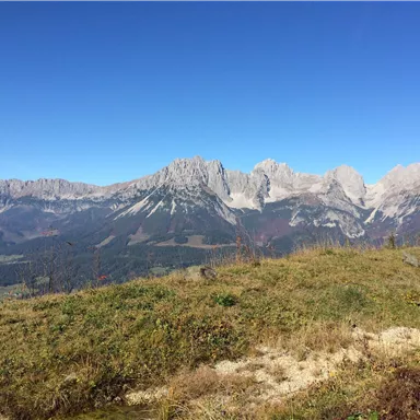 An impressive mountain landscape under a clear blue sky. Green meadows and majestic peaks characterize the scene.