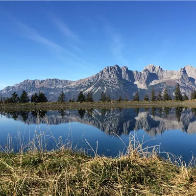 A quiet lake reflects majestic mountains and a blue sky. Green meadows surround the water.