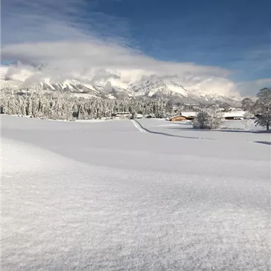 Eine wunderschöne Winterlandschaft mit viel Schnee und einem klaren blauen Himmel. Im Hintergrund sind schneebedeckte Berge und vereinzelt Häuser zu sehen.