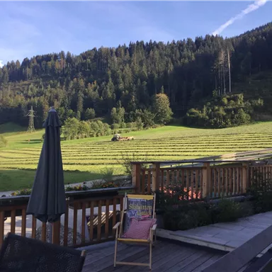 Eine Aussicht auf grüne Wiesen mit einem Wald im Hintergrund. Im Vordergrund steht eine Terrasse mit einem Sonnenschirm und einem Liegestuhl.