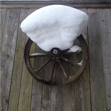 An old wagon wheel lies on a wooden floor, covered with a layer of fresh snow. The winter scene exudes tranquility and coldness.