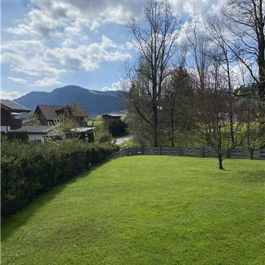 A green garden with trees and a view of the mountains in the background. The sky is blue with some clouds.