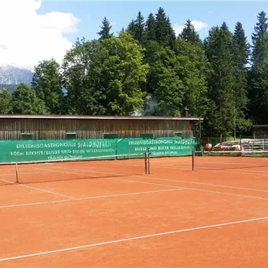 A tennis court with red clay and marked lines. In the background, there are trees and mountains visible.