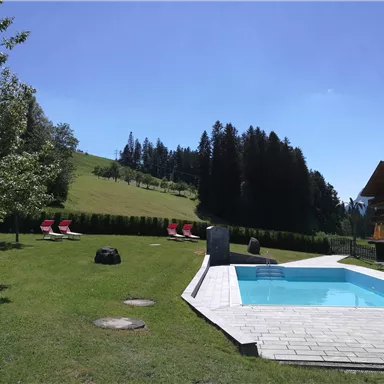 A beautiful garden with a pool and loungers. In the background, green hills and forests are visible.