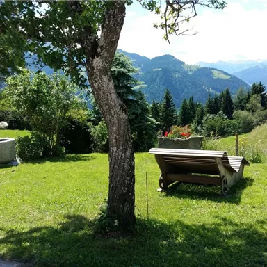 A green meadow with a tree and a bench offers a picturesque view of the mountains. In the background, more trees and hills are visible.