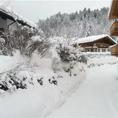 Eine verschneite Straße zwischen Häusern, umgeben von schneebedeckten Büschen. Die winterliche Landschaft ist friedlich und ruhig.