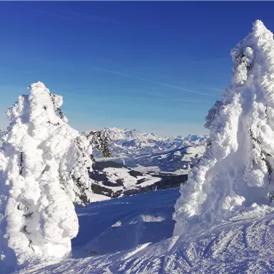 Eine verschneite Landschaft mit majestätischen, frostigen Bäumen. Im Hintergrund sind die schneebedeckten Berge und ein klarer blauer Himmel zu sehen.