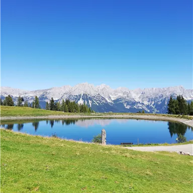 A quiet pond in a picturesque landscape with mountains in the background. The sky is clear and blue, the grass is green.