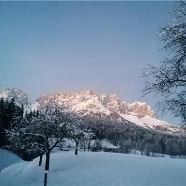 A winter landscape with snow-covered mountains and trees. The sky is blue and clear, while sunlight illuminates the mountain peaks.