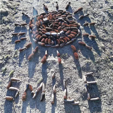 A creative pattern of cones representing a sun. Below it, the word "HOME" is also shaped from cones.