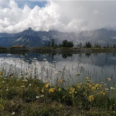 A picturesque landscape with colorful flowers in the foreground and a tranquil lake. In the background, majestic mountains rise under a cloudy sky.