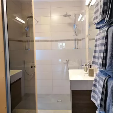 A modern bathroom with a glass-enclosed shower and stylish towels. The walls are painted in neutral tones, creating an inviting atmosphere.