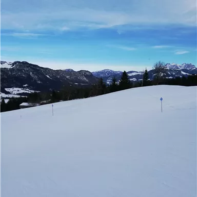 A snow-covered landscape with mountains in the background. The sky is clear and blue.