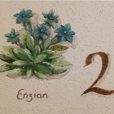 Ein hübsches Bild von Enzianblumen in Blau mit grünen Blättern. Daneben steht die Zahl 2.